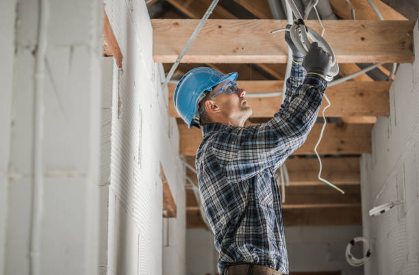Best Local Electrician Companies  in Grant, MN